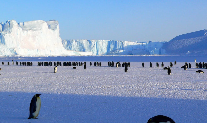그린란드 북극마을: 얼음 속의 삶
